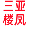 三亚楼凤❤️‍