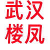 武汉楼凤❤️‍